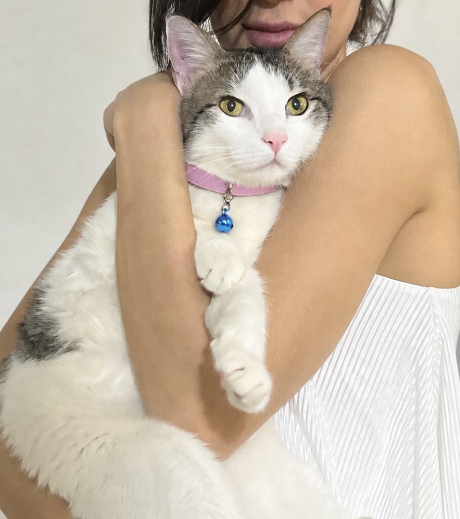 گمشده