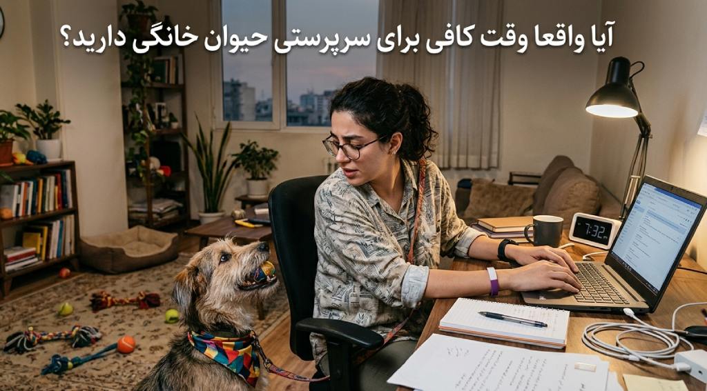 آیا واقعا وقت کافی برای سرپرستی حیوان خانگی دارید؟