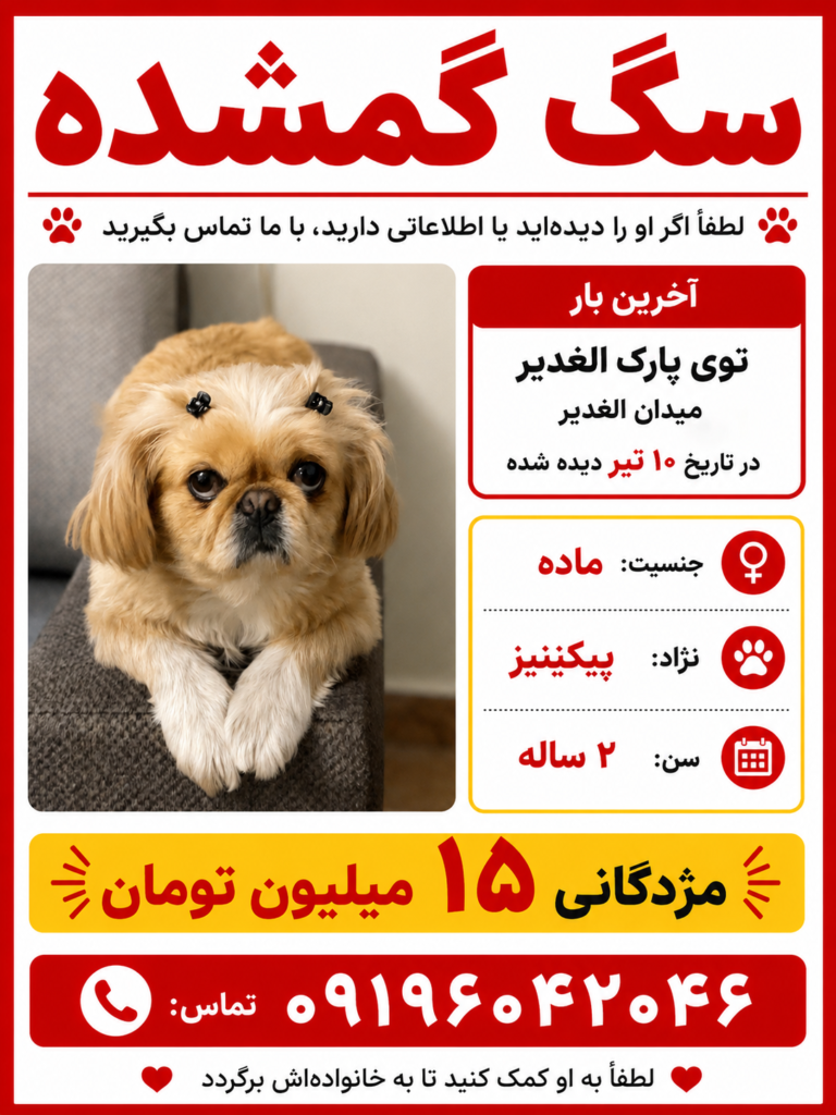 سگ گمشده پیکینیز