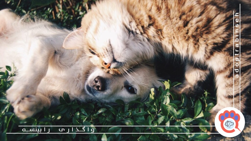 ۴. توجه نکردن به سبک زندگی