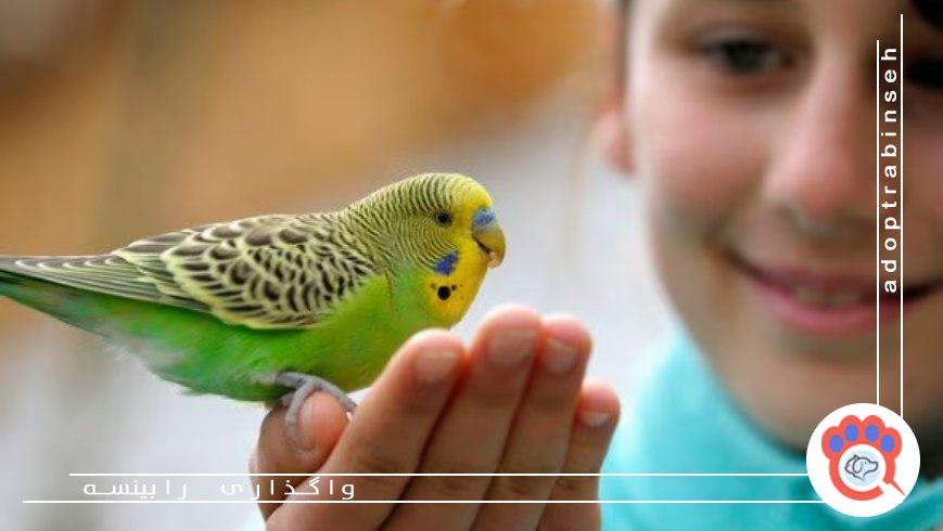 چه ویژگیهایی یک حیوان را برای کودکان مناسب میکند؟