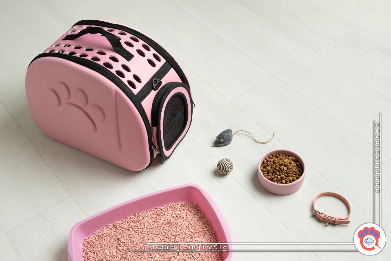 وسایل مورد نیاز برای نگهداری از گربه