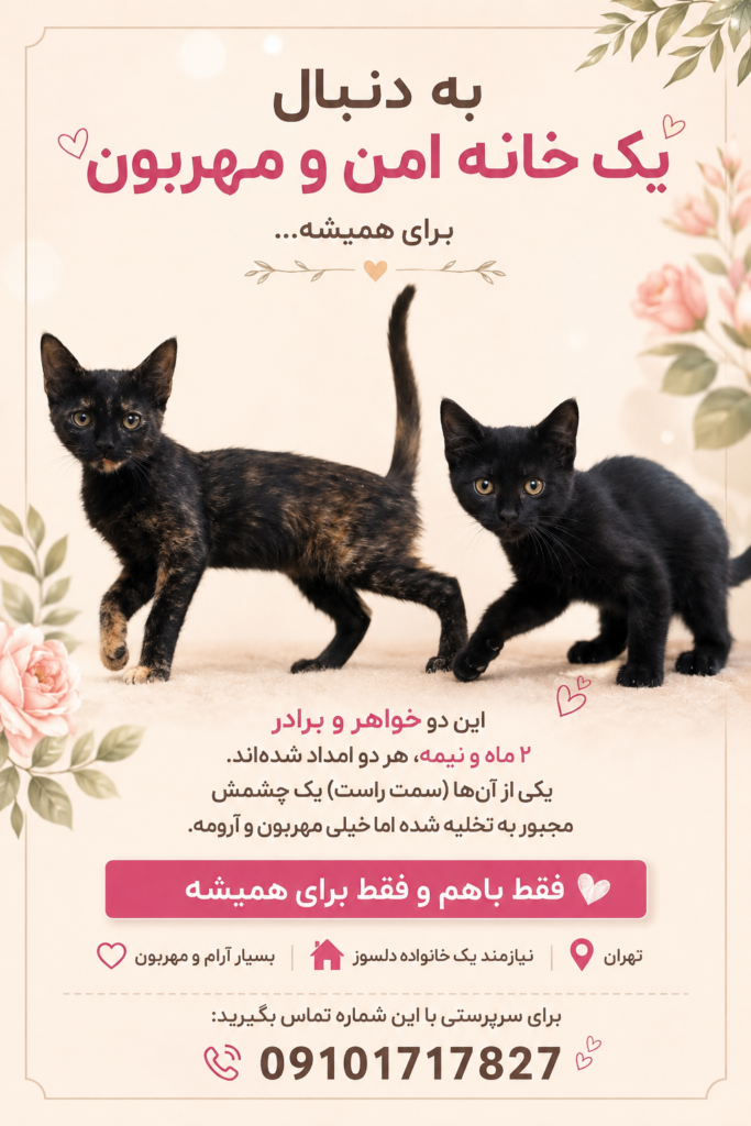 واگذاری خواهر و بردار وابسته به هم