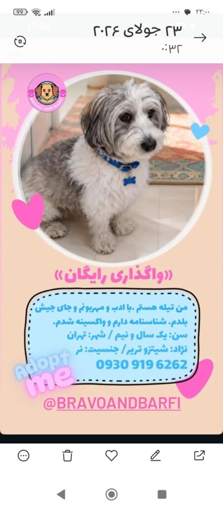 تیله هستم بچه طلاق