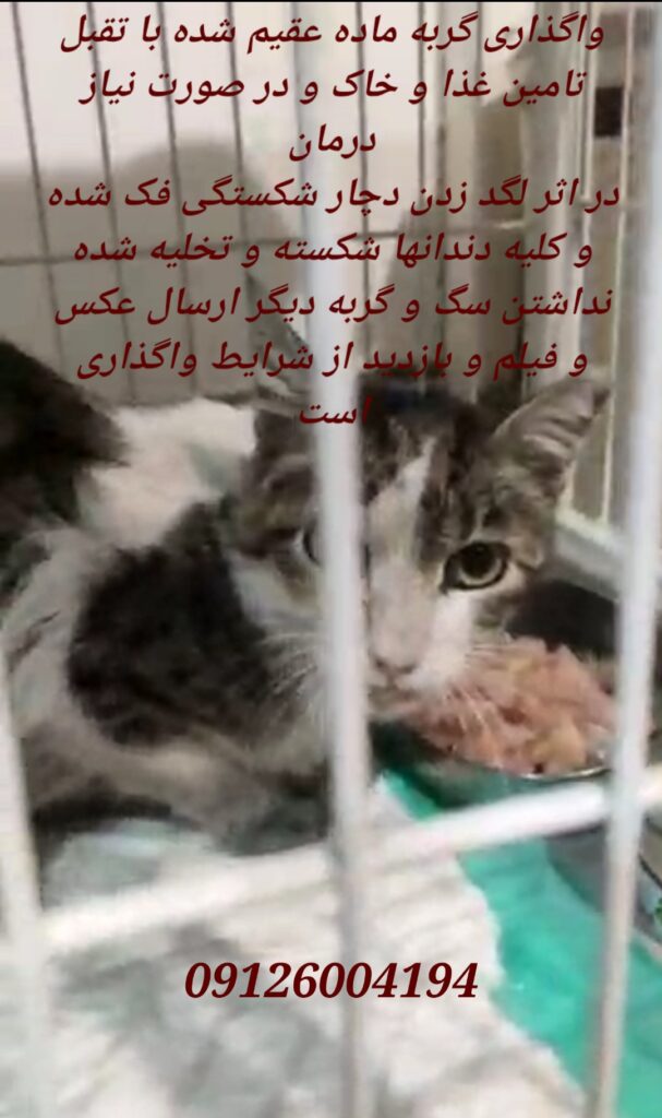 واگذاری رایگان ماده عقیم با تقبل تامین غذا و خاک