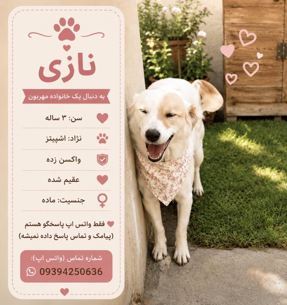 دختر سه ساله اشپیتز (نازی)
