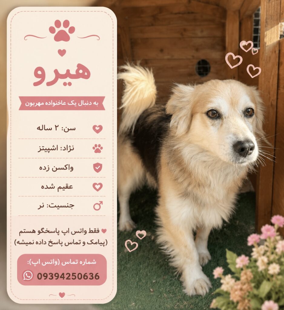 پسر دو ساله اشپیتز (هیرو)