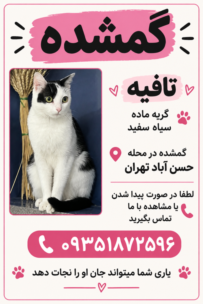 گربه گمشده