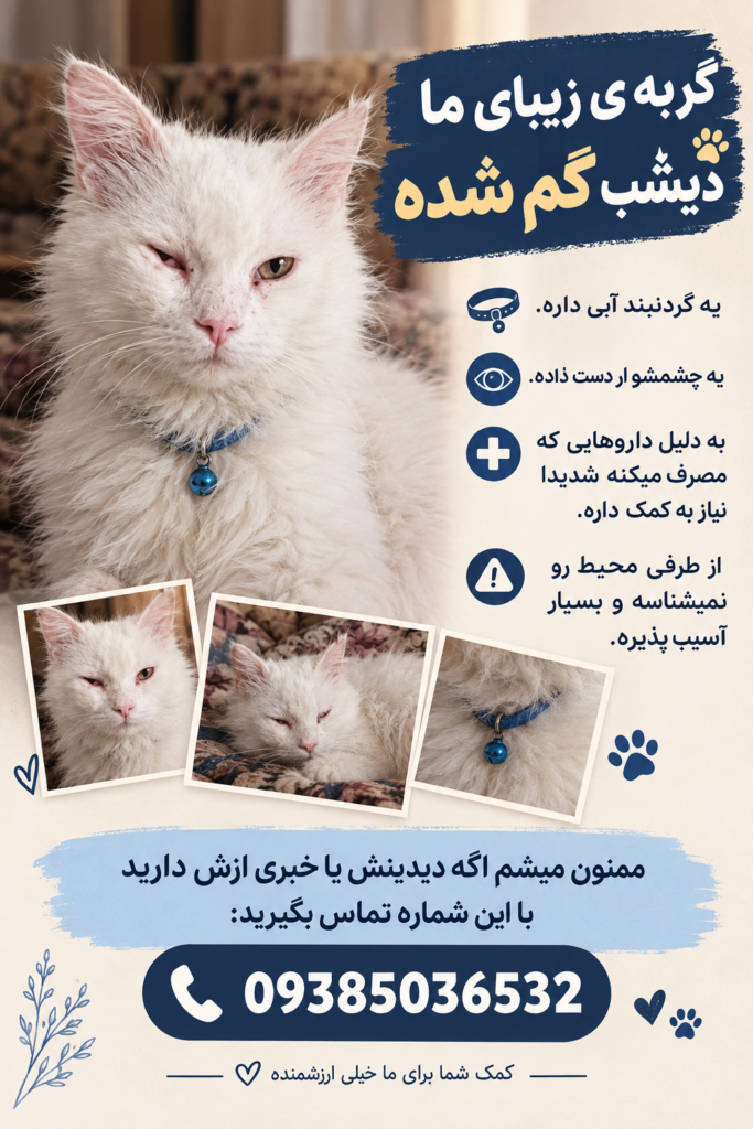 گربه عزیز ما گم شده
