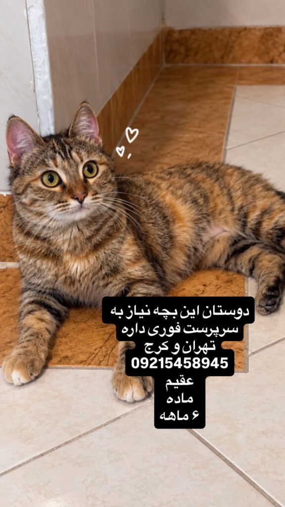 لوسی فوق العاده زیبا فوق العاده بغلی و مهربون