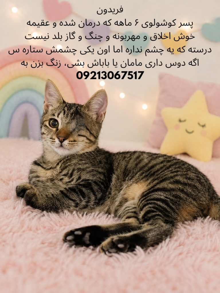واگذاری در تهران