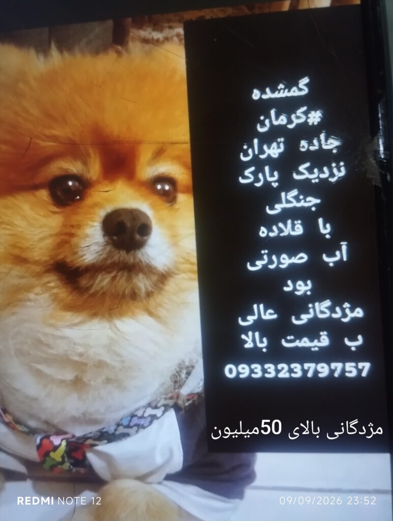 پامر نر