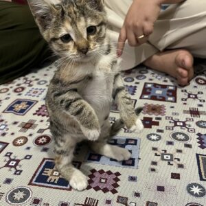 دختر شیطون و مهربون