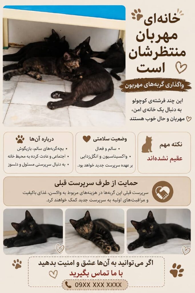 چهارتا بچه گربه به همراه مادرشون
