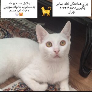 هر روز