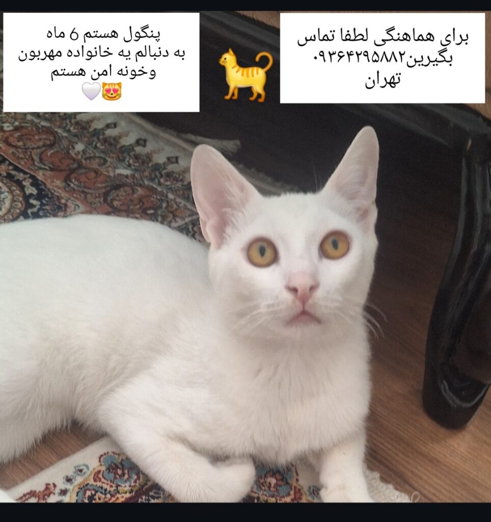 هر روز