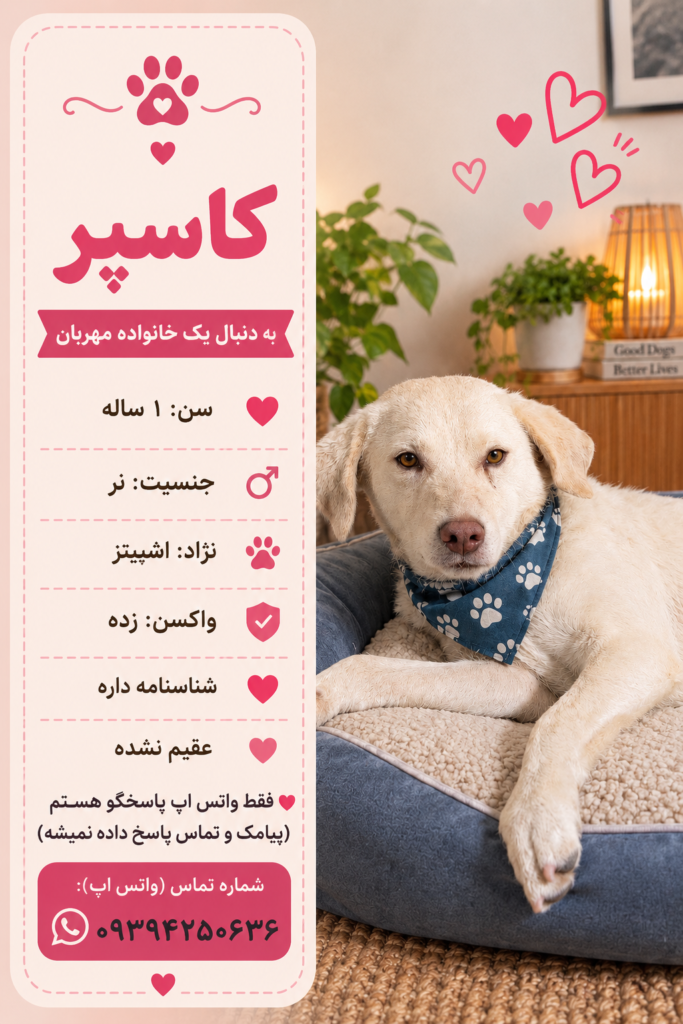 پسر یک ساله اشپیتز (کاسپر)