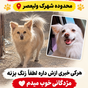 بچم گم شده