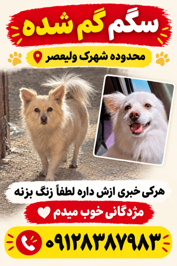 بچم گم شده