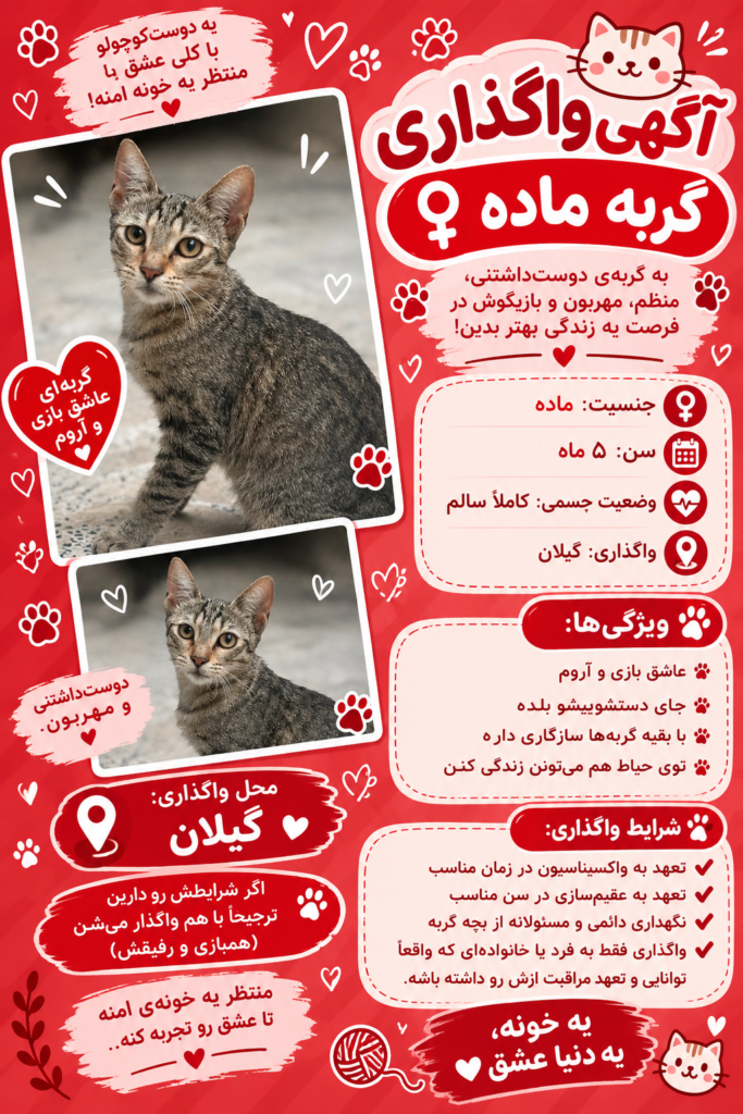 واگذاری گربه خانگی و دستی